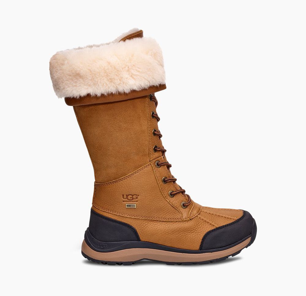 Ugg Tall Boot Womens - Ugg Adirondack Iii Brown - 609NPIOAE